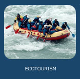 Ecotourism